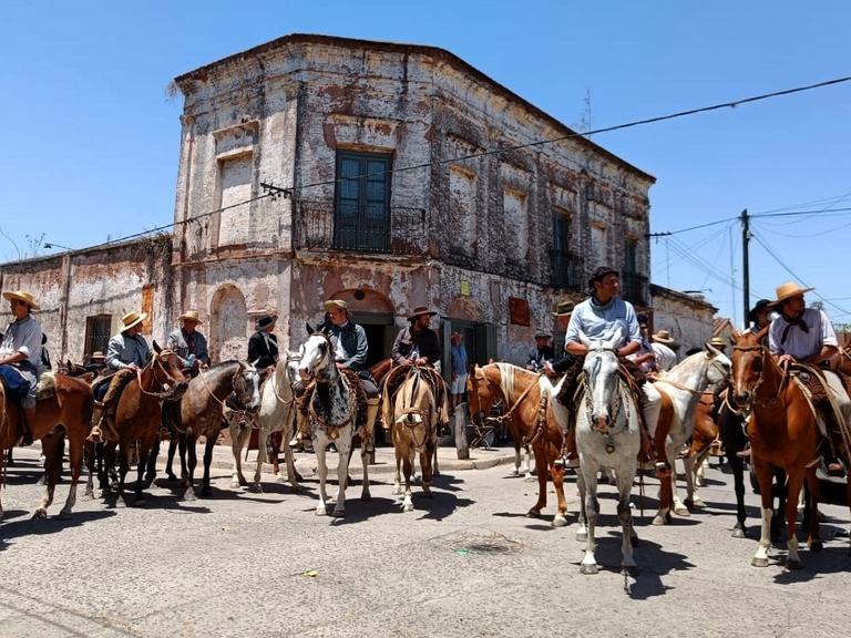 Horses at the Estancia El Ombu